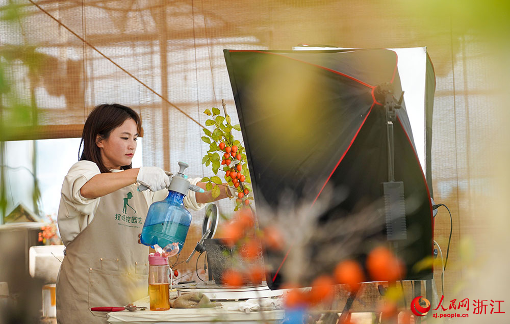 在浙江省余姚市小曹娥鎮一共富工坊，主播在對老鴉柿進行直播帶貨。人民網 章勇濤攝