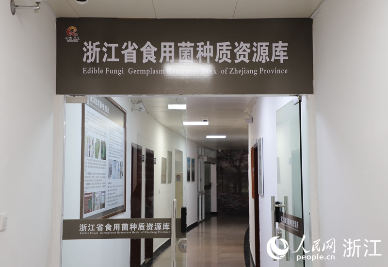 浙江省食用菌種質資源庫。人民網 方彭依夢攝