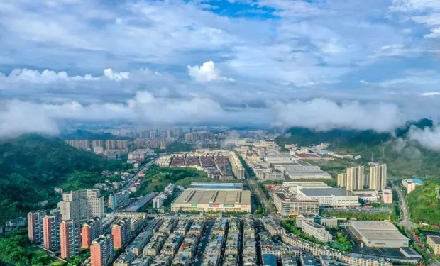 處州公園萬株郁金香打造大自然調色盤