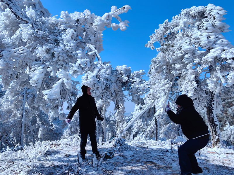 石梁鎮華頂霧淞吸引眾多游客前來觀賞。天臺縣石梁鎮供圖