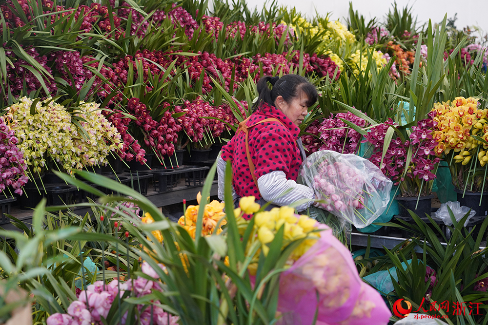 近日，工人在杭州市拱墅區石橋街道楊家花卉世界內忙碌著。人民網 章勇濤攝