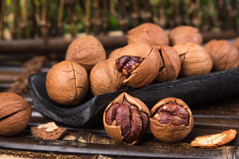 臨安山核桃。臨安區委宣傳部供圖