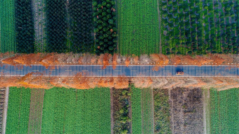 衢州市開化縣桃下線。浙江省交通運輸廳供圖