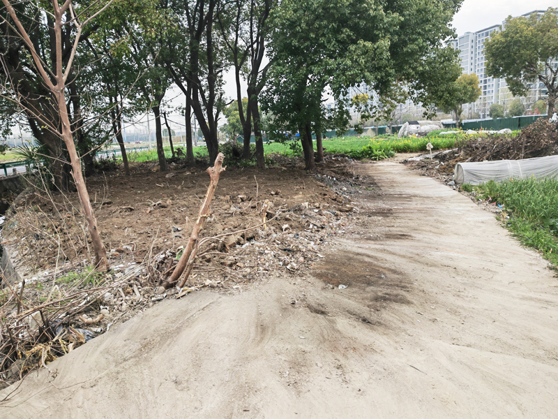 清理垃圾后的街道現場。喬司街道人大辦公室供圖