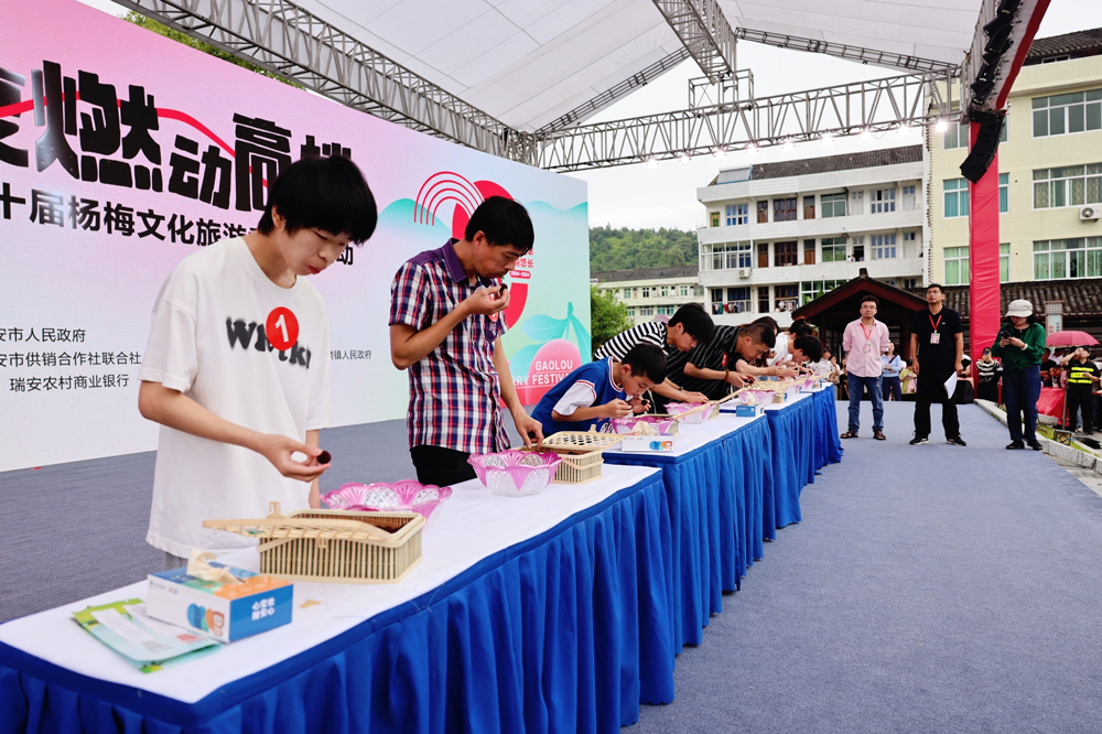 溫州瑞安高樓鎮第20屆楊梅文化旅游季在大京村紅梅廣場正式開幕。瑞安市委宣傳部供圖