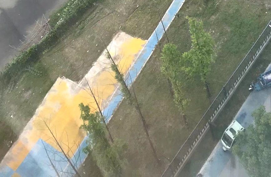 整改到位，菜地已騰空。受訪者供圖