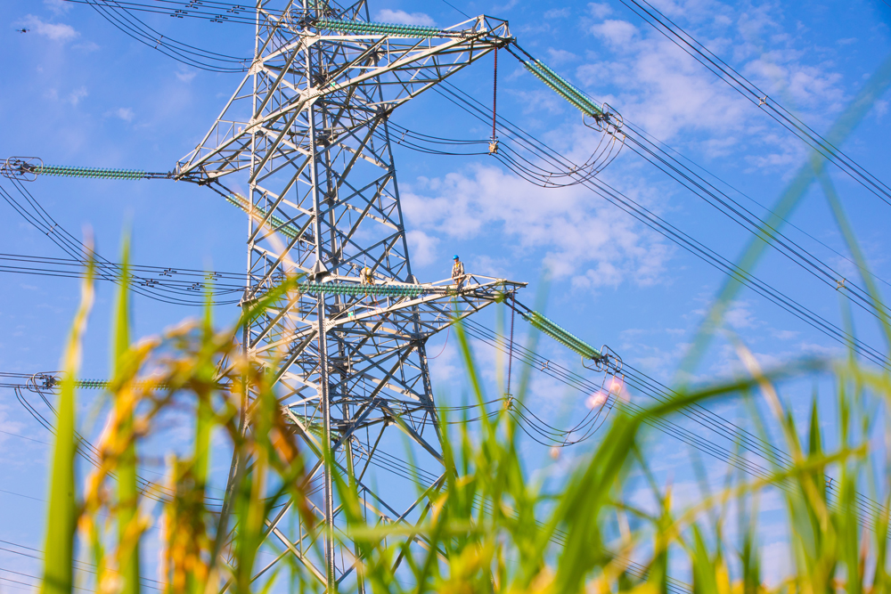 作業人員對500千伏金康線開展帶電作業，消除設備缺陷，保障夏季用電高峰期電網“主動脈”安全穩定運行。楊學君攝