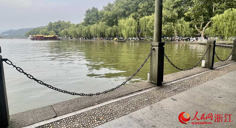 西湖沿岸的護欄。人民網記者 郭揚攝