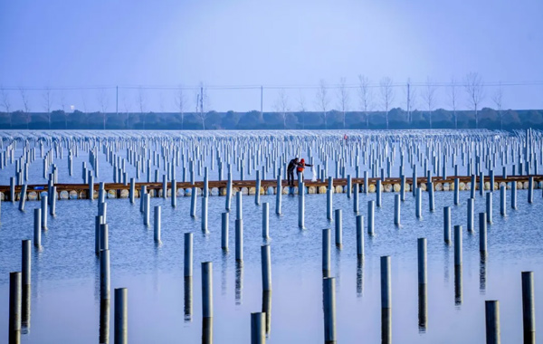 超驚艷！光影之間，解鎖錢塘“煥新”大賞