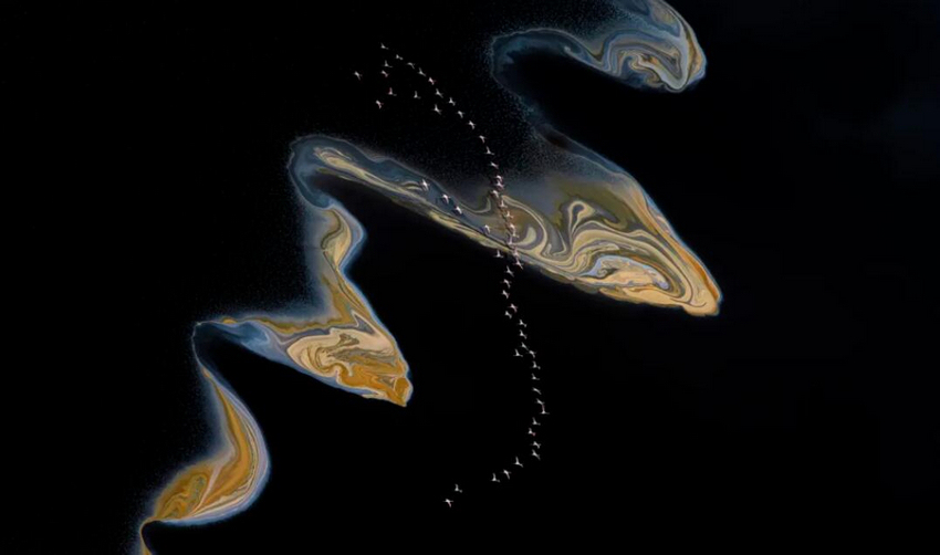 金色湖泊。杰·菲舍爾攝