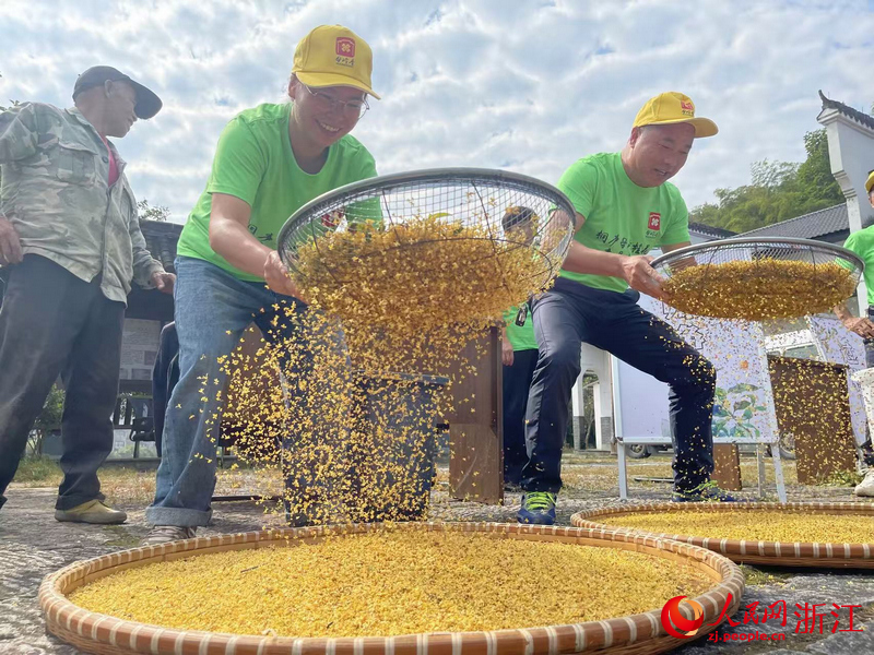 工作人員對收購來的桂花進行過篩。人民網記者 王麗瑋攝