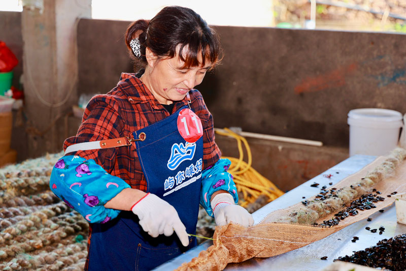 技能比武現場。嵊泗縣委宣傳部供圖