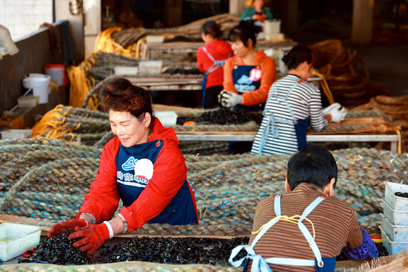 技能比武現場。嵊泗縣委宣傳部供圖