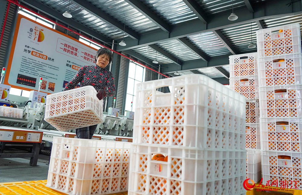 工人正在搬運柑橘。人民網 章勇濤攝