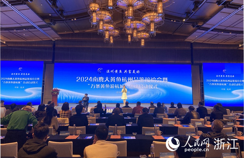 2024南麂大黃魚杭州品鑒接洽會暨“萬條黃魚游杭城”活動啟動儀式在杭州舉行。人民網 方彭依夢攝