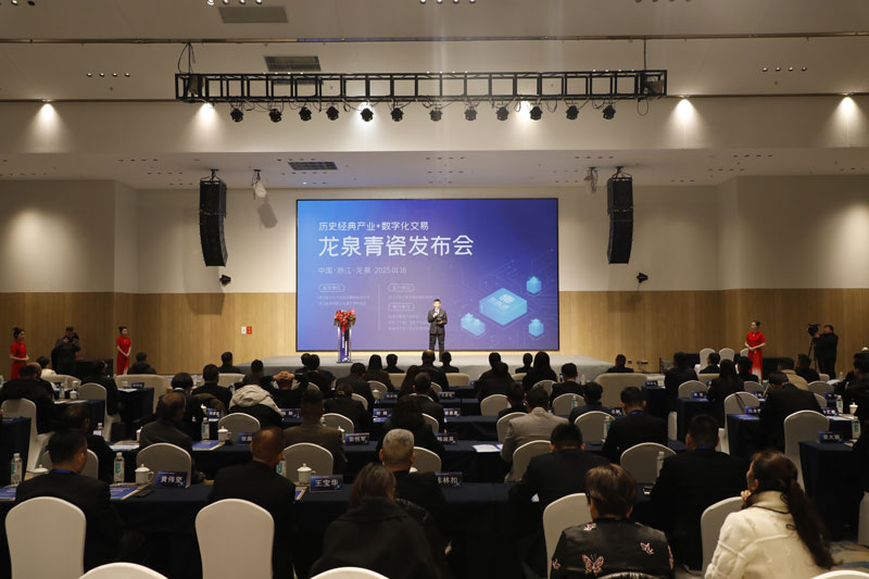 發布會現場。龍泉市融媒體中心供圖