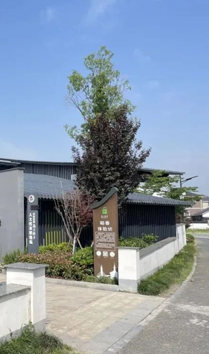 余杭這8個村“抱團”，村民一路增收！