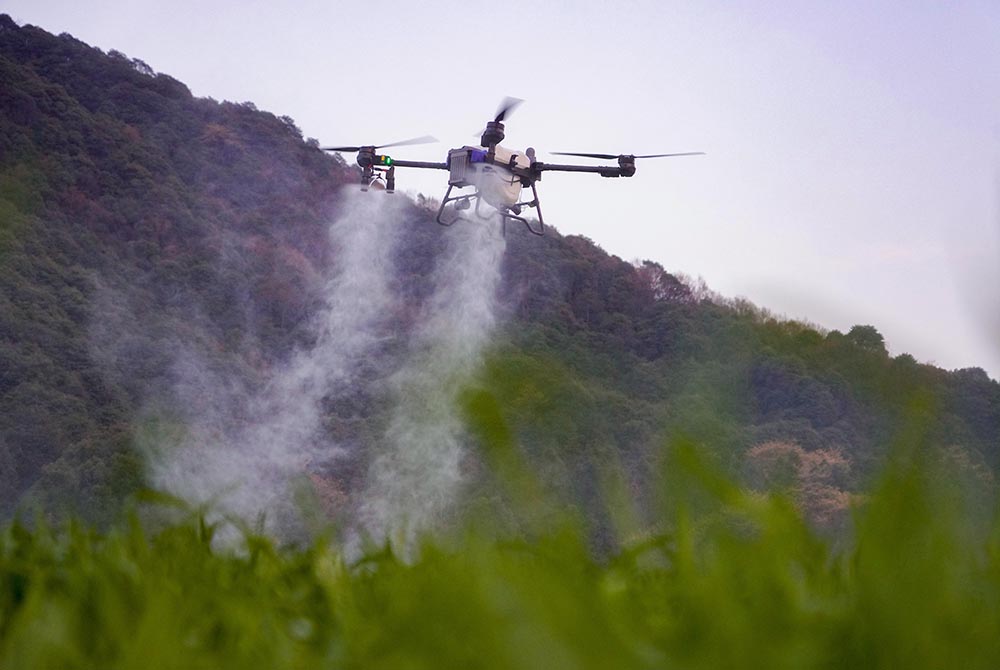 3月18日，在杭州市富陽區，農業植保無人機在噴灑作業。章勇濤攝