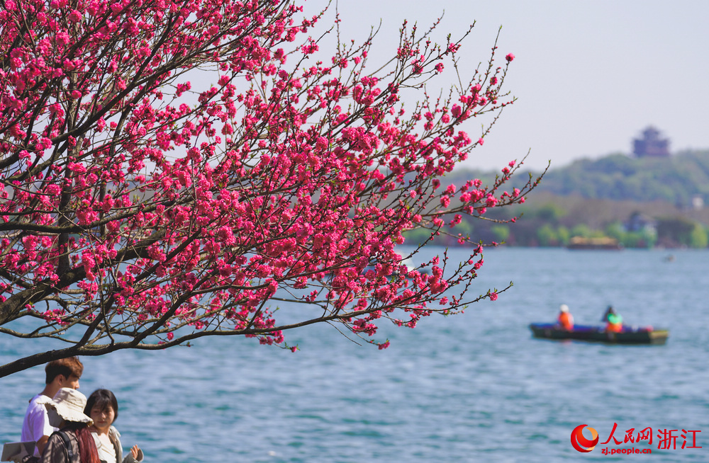 市民游客們來到西子湖畔感受春日的氣息。人民網記者 郭揚攝