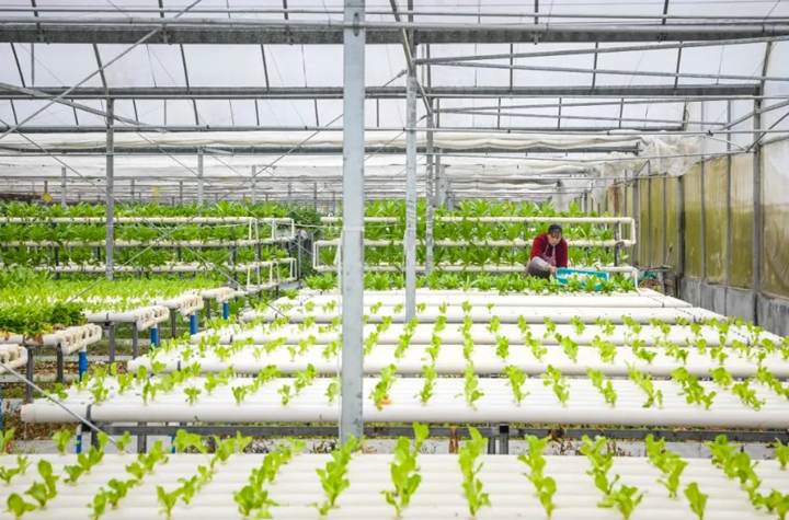 萬象“耕”新丨春耕好時節，“苗”繪新希望