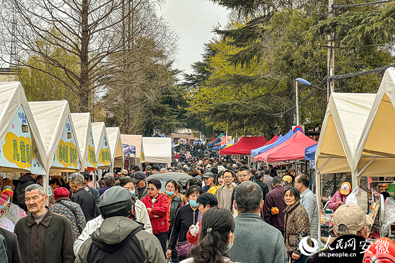 廟會的熱鬧景象。人民網記者 李希蒙攝