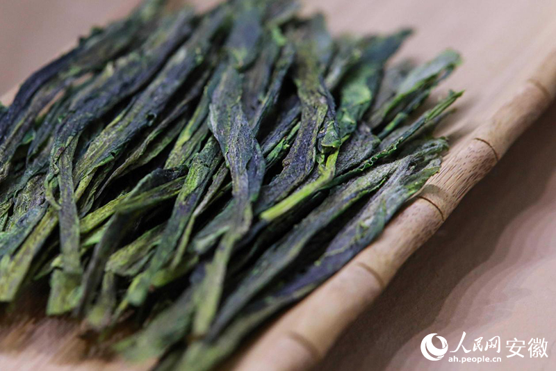 中國十大名茶——太平猴魁。人民網記者 張俊攝