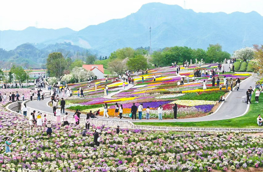 浙江省武義縣花田美地景區。武義縣委宣傳部供圖