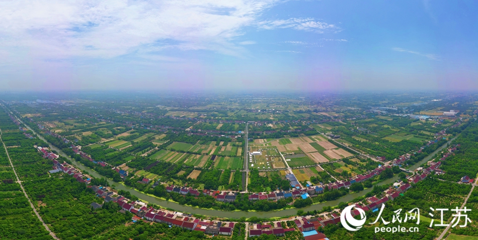 錢長村周邊形成了2萬畝草坪產業帶。人民網記者 王繼亮攝