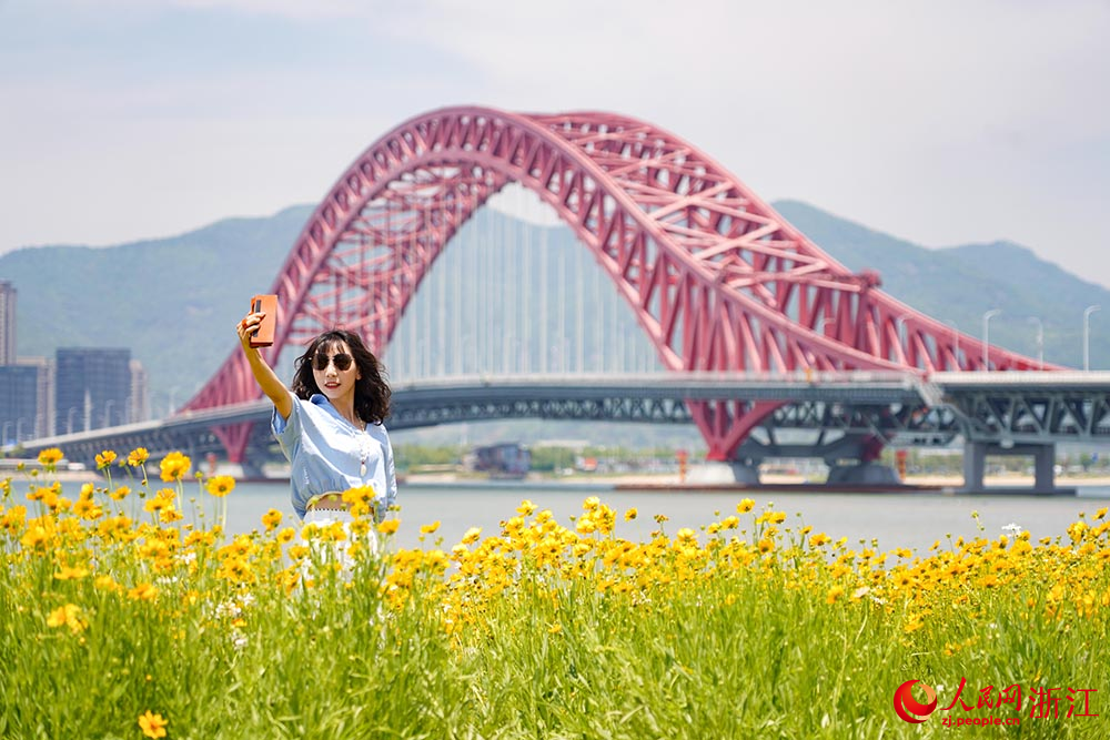 寧波市北侖區梅山灣梅山紅橋下，一片花海景色吸引了眾多游客前來觀賞。人民網 章勇濤攝