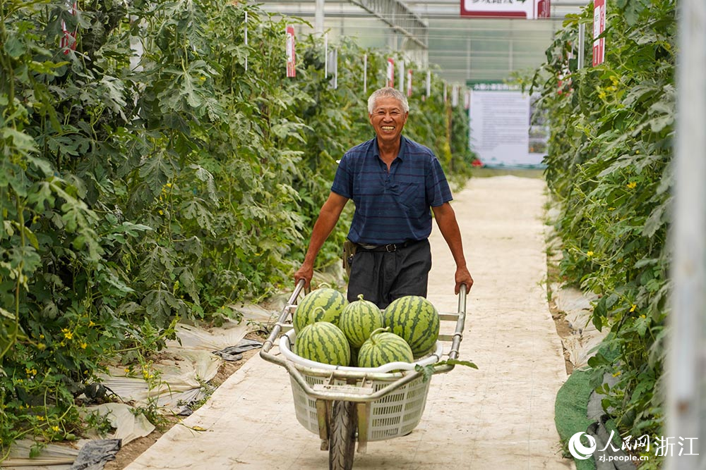 果農在搬運西瓜。人民網 章勇濤攝