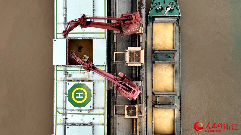 在寧波舟山港老塘山作業區，船上滿載的大豆正借助碼頭門機抓斗運轉至二程船上。人民網 陳陸洵攝