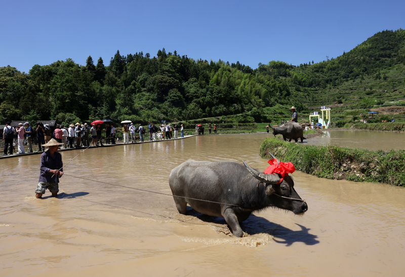 活動現場。鄭鵬攝