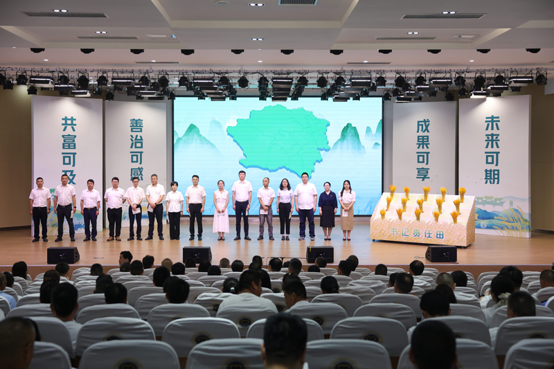 活動現場。九龍湖鎮供圖