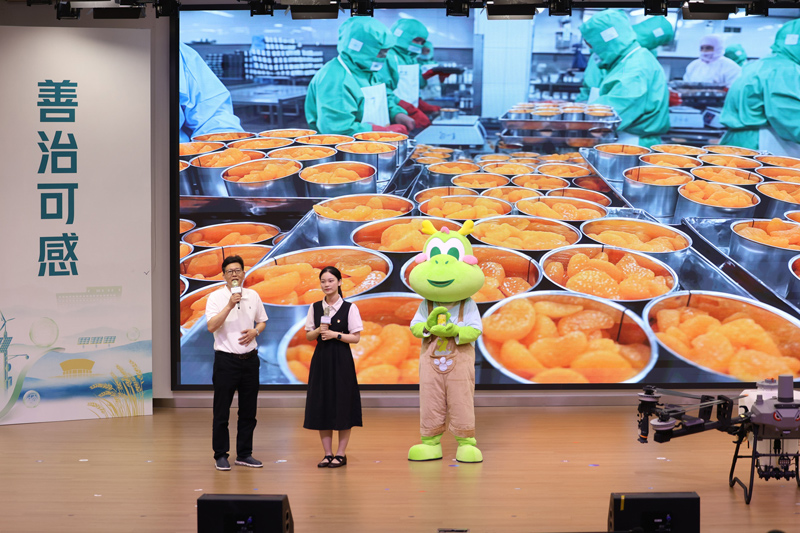 活動現場。九龍湖鎮供圖