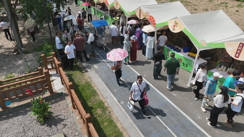 活動現場。永嘉縣委宣傳部供圖