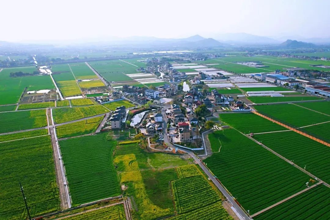 省級重點村，余杭新入選2個