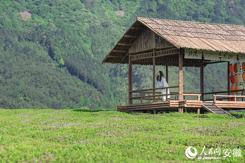 游客在“空中茶園”里賞景。人民網記者 張俊攝