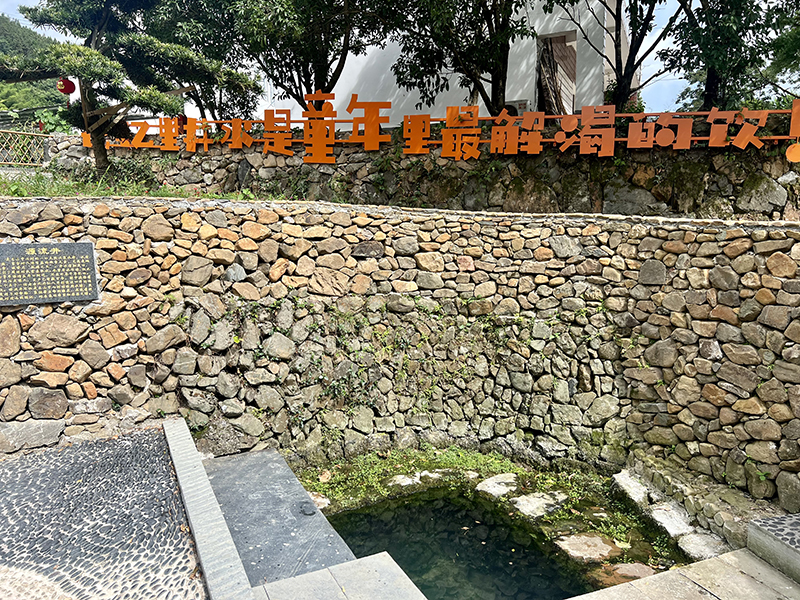 在東山村，沈沅寶常年取水的源流井。人民網記者 汪瑞華攝