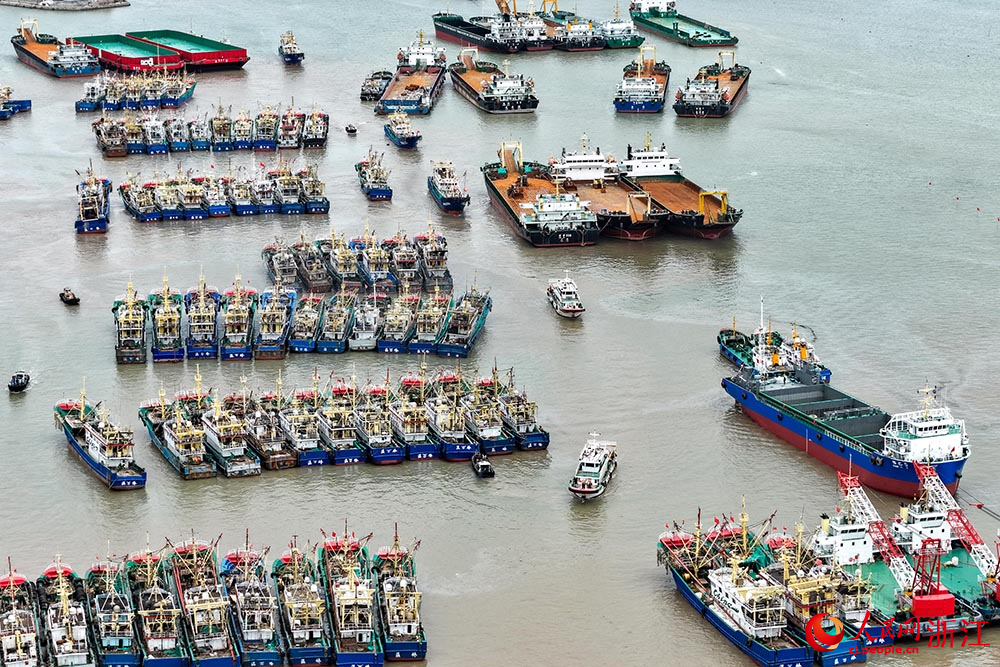 浙江省溫嶺市松門鎮礁山漁港，漁船靠港避風。人民網 章勇濤攝