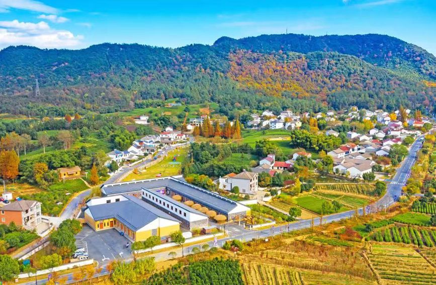 位于安吉縣蔓塘里村的集中電炒茶點。吳夢璐攝