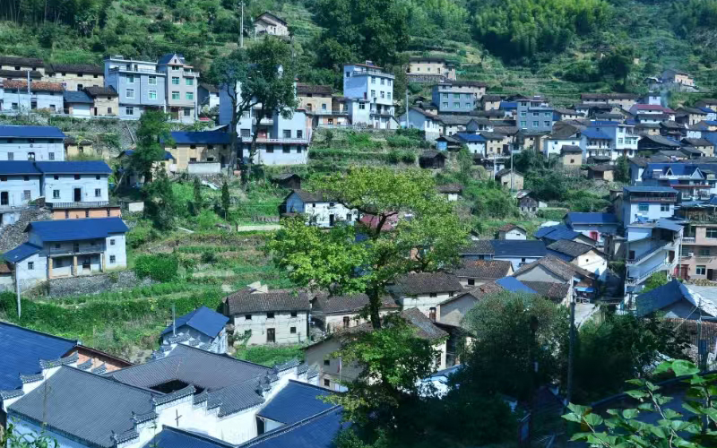 千義坑村全貌。杭鋼集團供圖