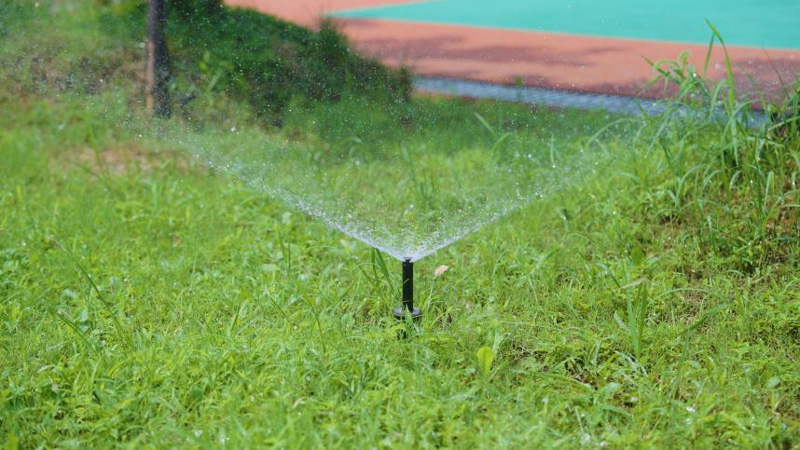 雨水回收循環系統定時澆灌草坪。唐赟秋攝