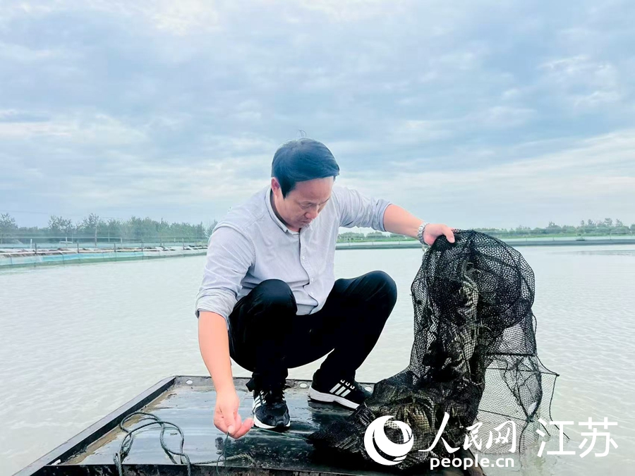 段廣玉正在拉網起蟹。人民網 李欣陽攝