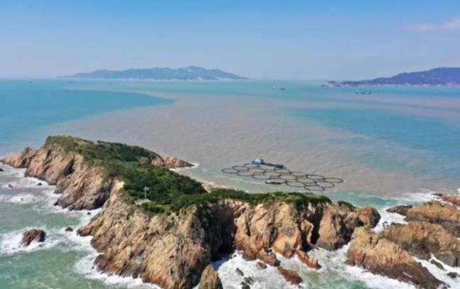 浙江“共富農產品”！洞頭+1