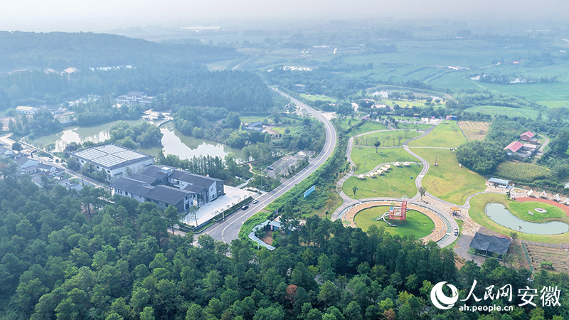 俯瞰天長市長山村。人民網 郭昊攝