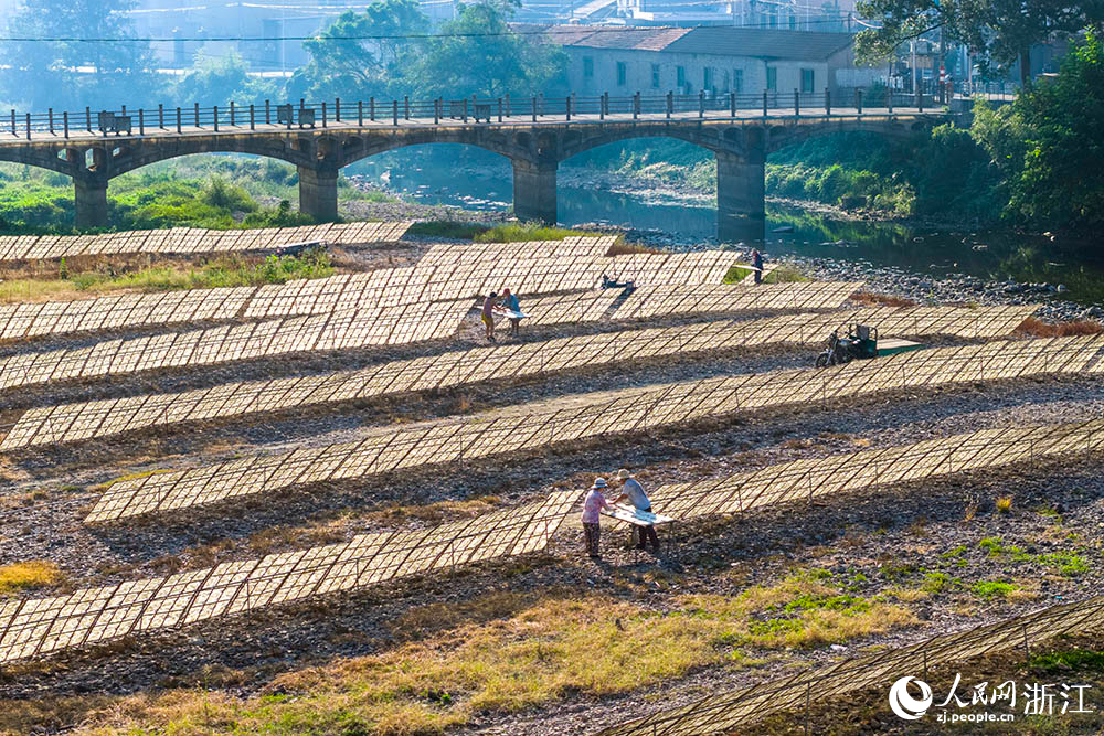 一排排榨面在陽光下舒展，與鄉村景致相映，構成一道充滿生活氣息的獨特風景線。人民網 章勇濤攝