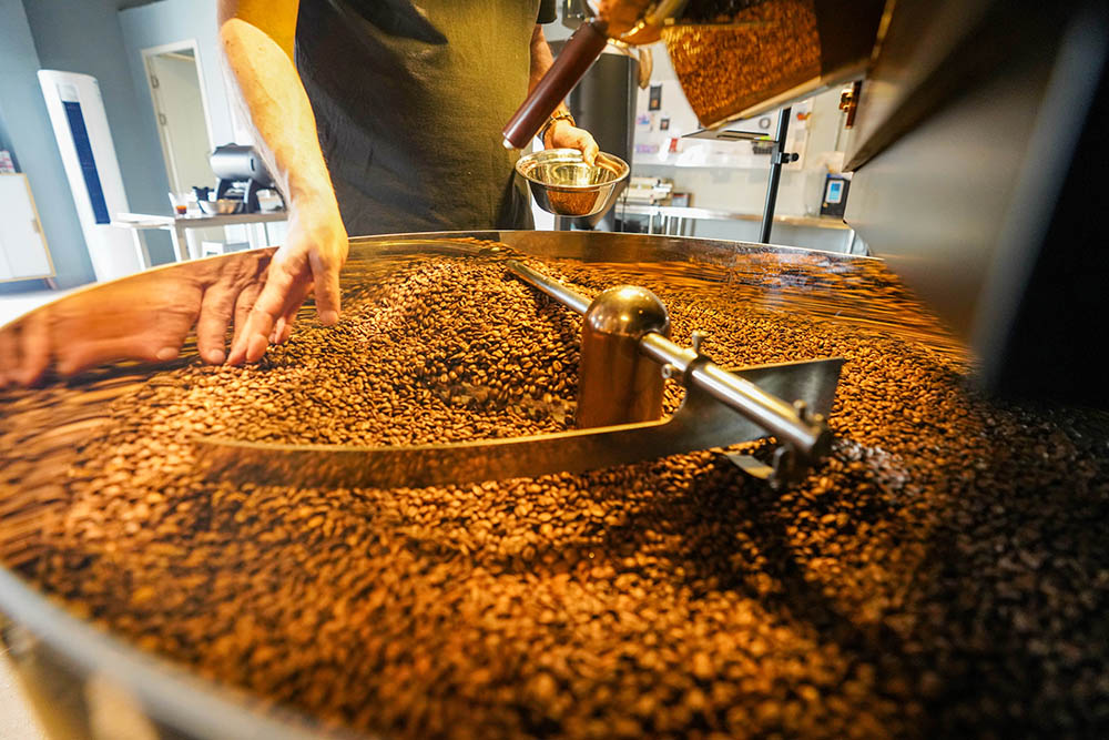 咖啡工坊里，弗蘭克指尖掠過豆粒，剔除烘焙過程中產生的殘次豆，確保成品豆品質均一。