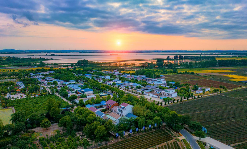 俯瞰明光市蘇巷鎮戴巷村陸郢組的美麗鄉村。胡萬里攝