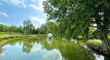 江蘇宜興鄉村蝶變：從“一處美”到“全域興”