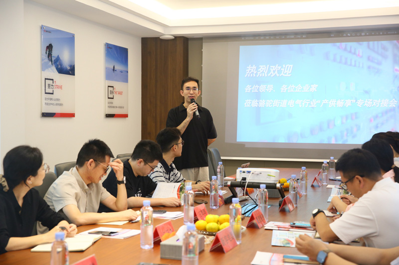 開展電氣行業專場對接會。駱駝街道供圖